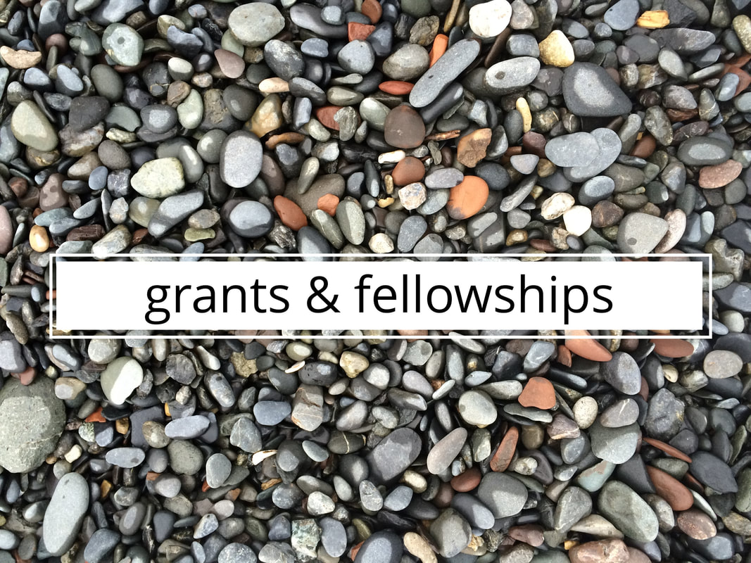 link to list of grants and fellowships
